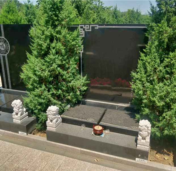 万桐园